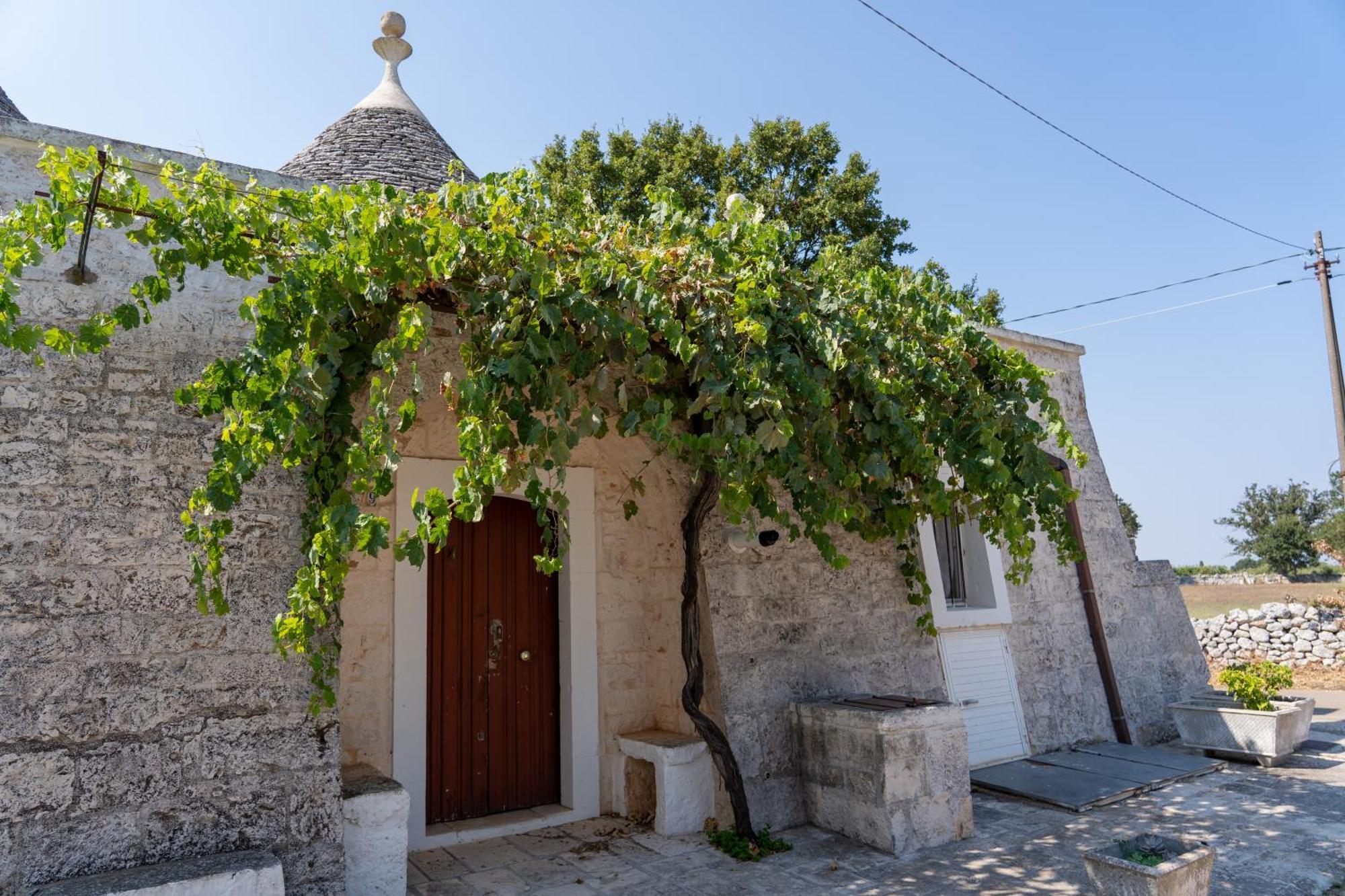 Trullo Vacanze Di Cumma Rosa Αλμπερομπέλο Εξωτερικό φωτογραφία